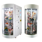 Automatic Flower Vending Machine For Bouquets With Transparent Shelf Display