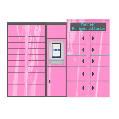 Winnsen Cabinet Vegetable Locker الخزانة الإلكترونية الخزائن الذكية