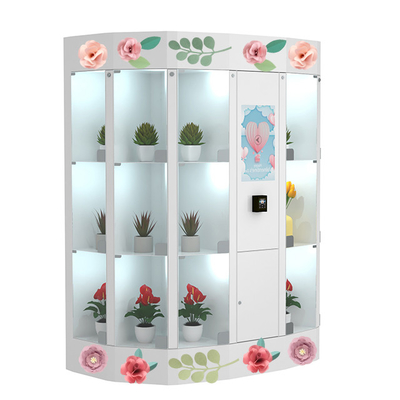 خزانة آلة بيع الزهور مقاس 19 بوصة مع نظام تبريد 50 هرتز